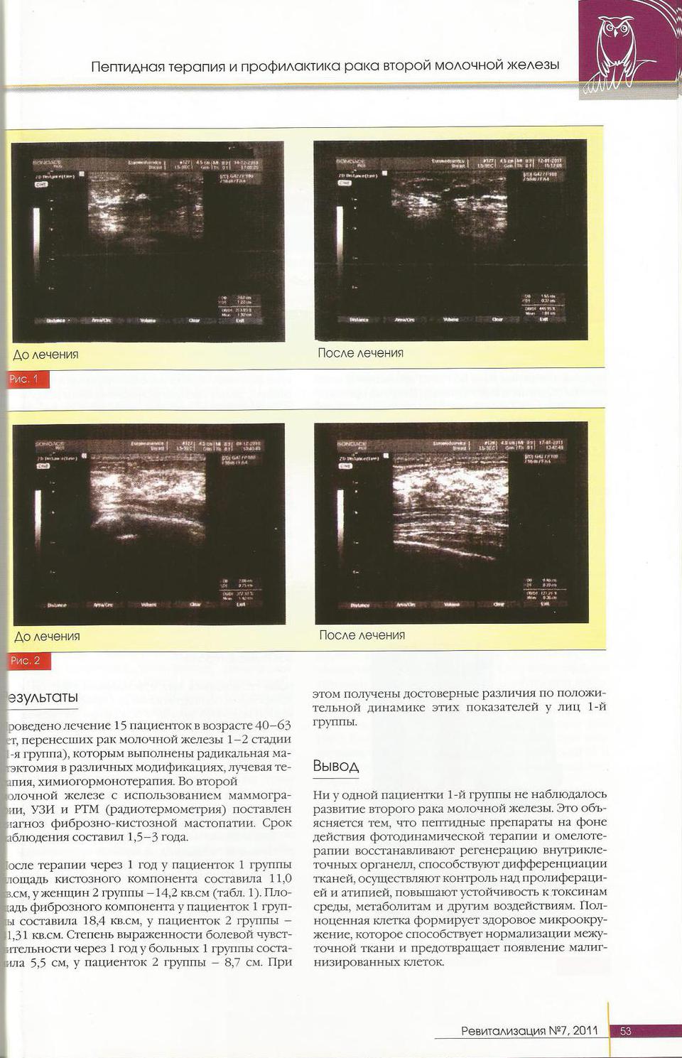 Описание изображения