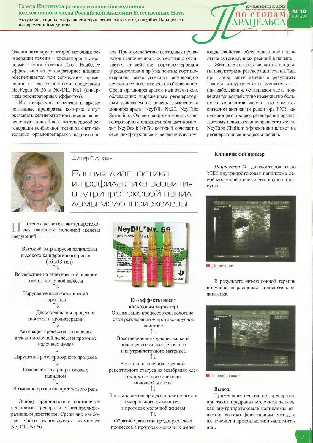 Описание изображения